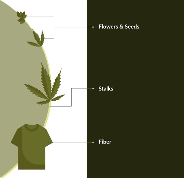 Hemp-Infographic-_v01-B-1024x989