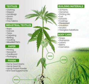 Hemp Industry Chart