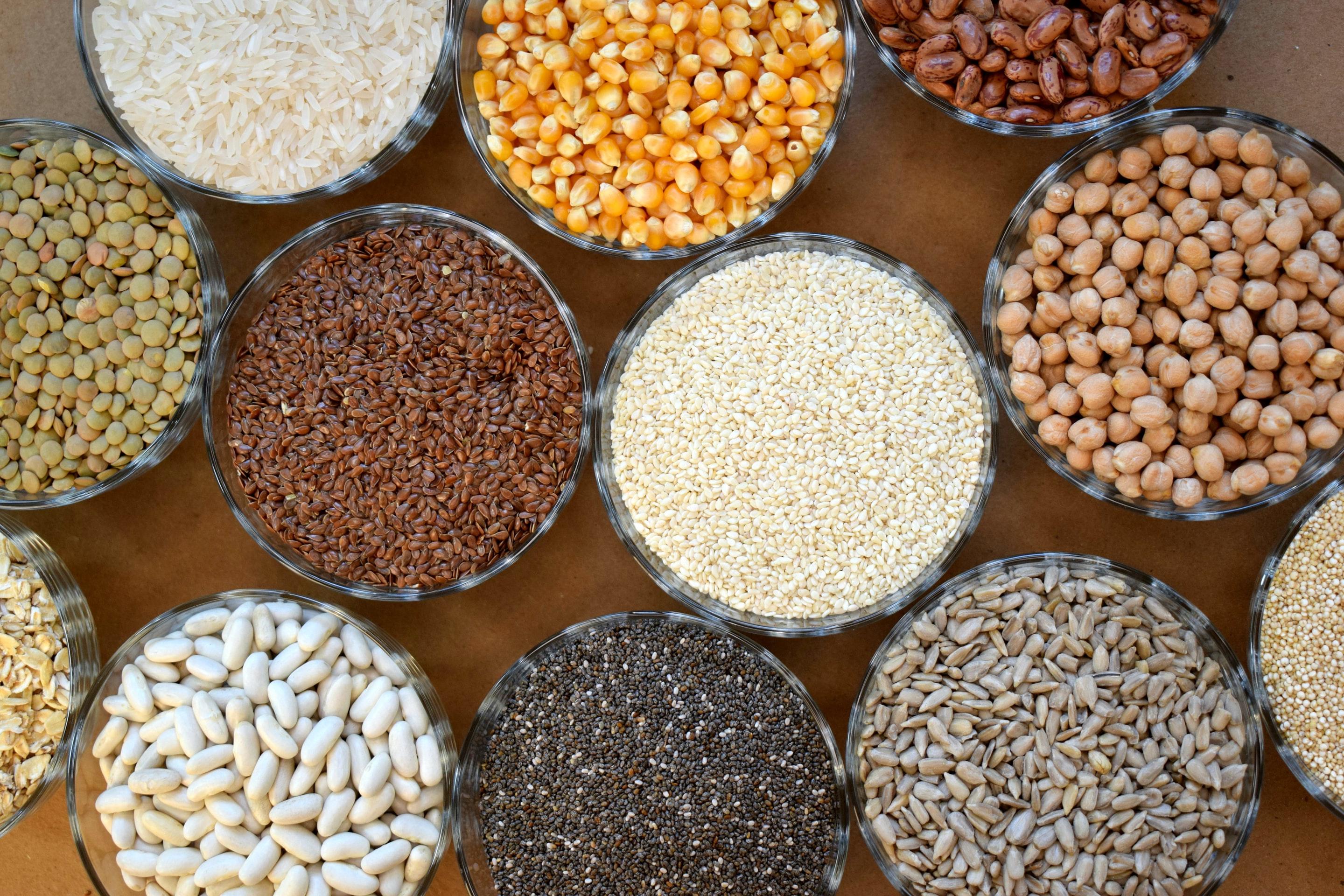 plant based proteins and grains